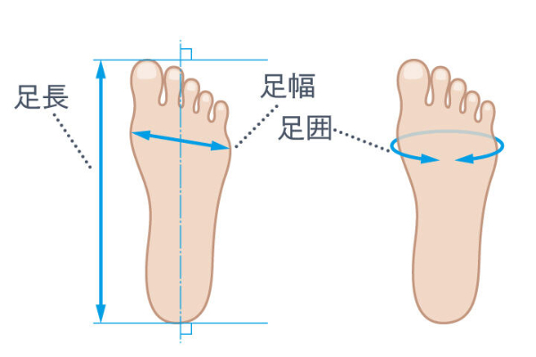 足のサイズの正しい測り方｜足長・足幅・足囲と専門計測のすすめ